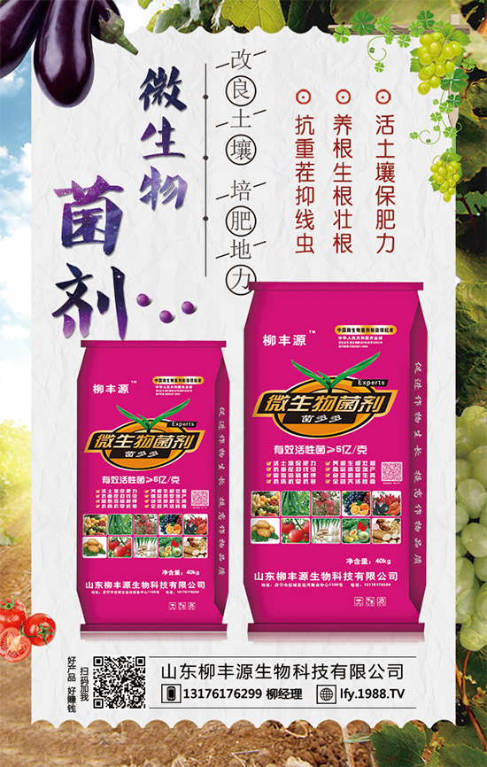 生姜土壤泛红的原因及解决途径 从改良到安全促产