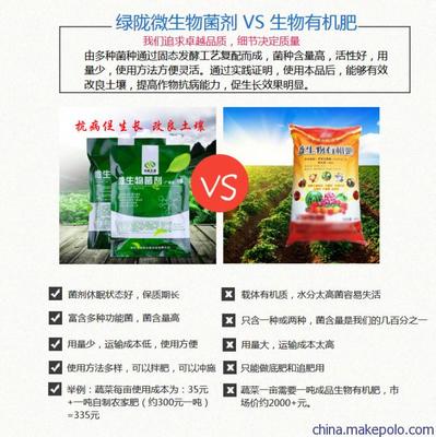 生物肥功能菌 多重效益推动绿色农业新发展