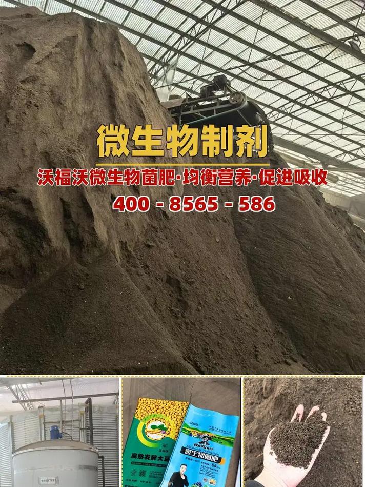 南阳提质增产微生物菌肥制造厂 抗（抑）菌剂在绿色农业中的创新实践